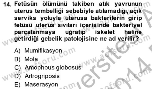 Doğum Bilgisi ve Suni Tohumlama Dersi 2013 - 2014 Yılı (Final) Dönem Sonu Sınav Soruları 14. Soru