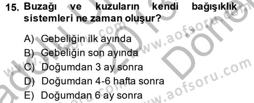 Doğum Bilgisi ve Suni Tohumlama Dersi 2013 - 2014 Yılı (Final) Dönem Sonu Sınav Soruları 15. Soru