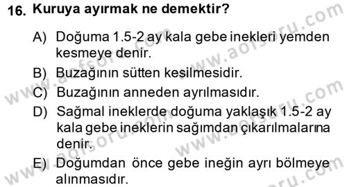 Doğum Bilgisi ve Suni Tohumlama Dersi 2013 - 2014 Yılı (Final) Dönem Sonu Sınav Soruları 16. Soru