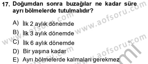 Doğum Bilgisi ve Suni Tohumlama Dersi 2013 - 2014 Yılı (Final) Dönem Sonu Sınav Soruları 17. Soru