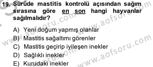 Doğum Bilgisi ve Suni Tohumlama Dersi 2013 - 2014 Yılı (Final) Dönem Sonu Sınav Soruları 19. Soru