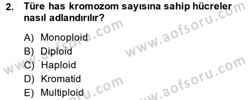 Doğum Bilgisi ve Suni Tohumlama Dersi 2013 - 2014 Yılı (Final) Dönem Sonu Sınav Soruları 2. Soru