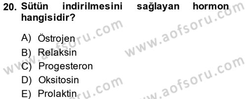 Doğum Bilgisi ve Suni Tohumlama Dersi 2013 - 2014 Yılı (Final) Dönem Sonu Sınav Soruları 20. Soru