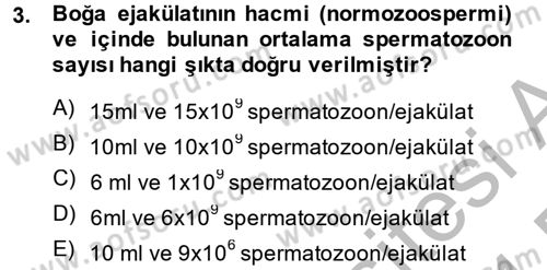 Doğum Bilgisi ve Suni Tohumlama Dersi 2013 - 2014 Yılı (Final) Dönem Sonu Sınav Soruları 3. Soru