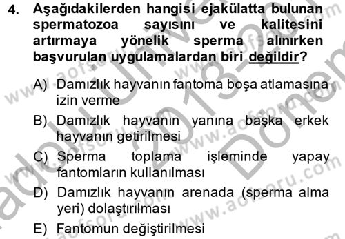 Doğum Bilgisi ve Suni Tohumlama Dersi 2013 - 2014 Yılı (Final) Dönem Sonu Sınav Soruları 4. Soru