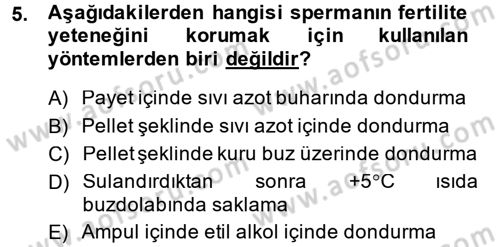Doğum Bilgisi ve Suni Tohumlama Dersi 2013 - 2014 Yılı (Final) Dönem Sonu Sınav Soruları 5. Soru