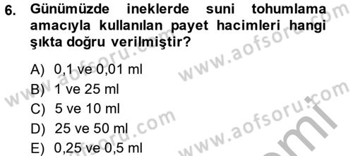 Doğum Bilgisi ve Suni Tohumlama Dersi 2013 - 2014 Yılı (Final) Dönem Sonu Sınav Soruları 6. Soru