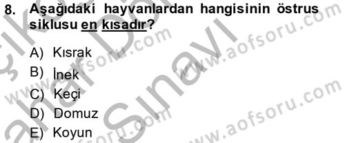 Doğum Bilgisi ve Suni Tohumlama Dersi 2013 - 2014 Yılı (Final) Dönem Sonu Sınav Soruları 8. Soru