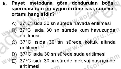 Doğum Bilgisi ve Suni Tohumlama Dersi 2013 - 2014 Yılı Tek Ders Sınavı 5. Soru