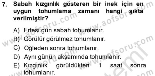 Doğum Bilgisi ve Suni Tohumlama Dersi 2013 - 2014 Yılı Tek Ders Sınavı 7. Soru