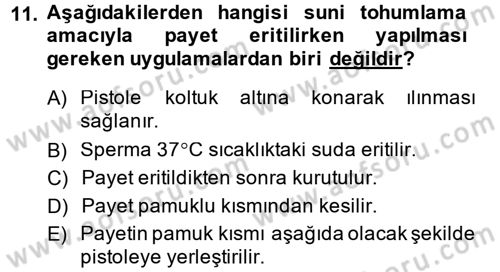 Doğum Bilgisi ve Suni Tohumlama Dersi 2014 - 2015 Yılı (Vize) Ara Sınav Soruları 11. Soru