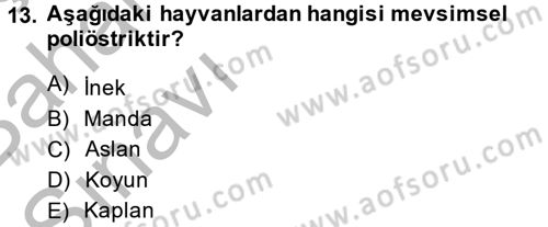 Doğum Bilgisi ve Suni Tohumlama Dersi 2014 - 2015 Yılı (Vize) Ara Sınav Soruları 13. Soru