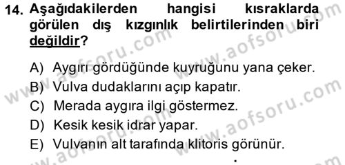 Doğum Bilgisi ve Suni Tohumlama Dersi 2014 - 2015 Yılı (Vize) Ara Sınav Soruları 14. Soru