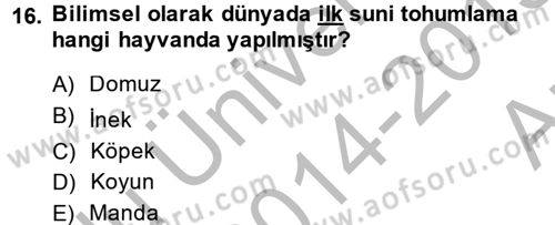 Doğum Bilgisi ve Suni Tohumlama Dersi 2014 - 2015 Yılı (Vize) Ara Sınav Soruları 16. Soru