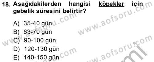 Doğum Bilgisi ve Suni Tohumlama Dersi 2014 - 2015 Yılı (Vize) Ara Sınav Soruları 18. Soru