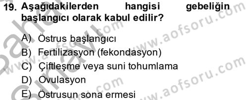 Doğum Bilgisi ve Suni Tohumlama Dersi 2014 - 2015 Yılı (Vize) Ara Sınav Soruları 19. Soru