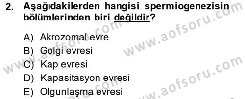 Doğum Bilgisi ve Suni Tohumlama Dersi 2014 - 2015 Yılı (Vize) Ara Sınav Soruları 2. Soru