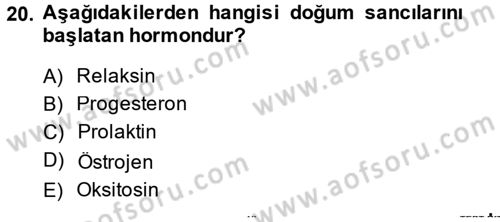 Doğum Bilgisi ve Suni Tohumlama Dersi 2014 - 2015 Yılı (Vize) Ara Sınav Soruları 20. Soru