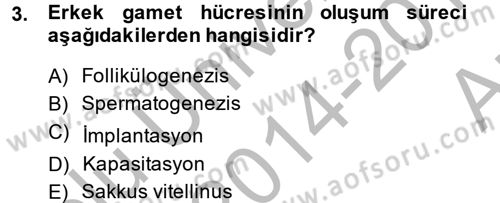 Doğum Bilgisi ve Suni Tohumlama Dersi 2014 - 2015 Yılı (Vize) Ara Sınav Soruları 3. Soru