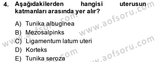 Doğum Bilgisi ve Suni Tohumlama Dersi 2014 - 2015 Yılı (Vize) Ara Sınav Soruları 4. Soru