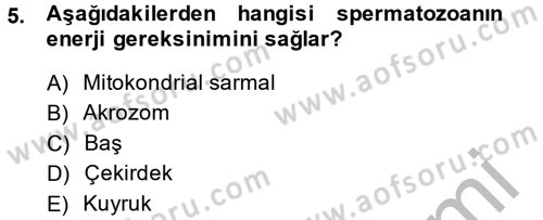 Doğum Bilgisi ve Suni Tohumlama Dersi 2014 - 2015 Yılı (Vize) Ara Sınav Soruları 5. Soru