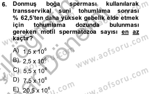 Doğum Bilgisi ve Suni Tohumlama Dersi 2014 - 2015 Yılı (Vize) Ara Sınav Soruları 6. Soru