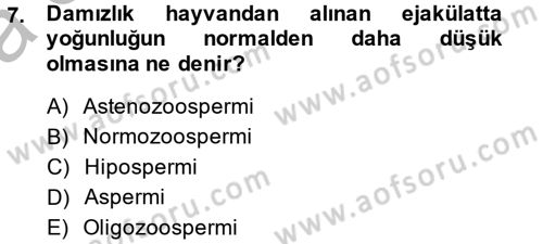 Doğum Bilgisi ve Suni Tohumlama Dersi 2014 - 2015 Yılı (Vize) Ara Sınav Soruları 7. Soru