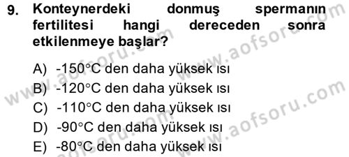 Doğum Bilgisi ve Suni Tohumlama Dersi 2014 - 2015 Yılı (Vize) Ara Sınav Soruları 9. Soru