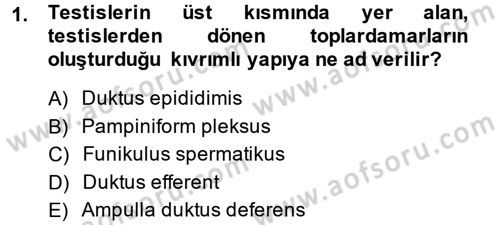 Doğum Bilgisi ve Suni Tohumlama Dersi 2014 - 2015 Yılı (Final) Dönem Sonu Sınav Soruları 1. Soru