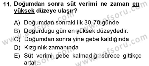 Doğum Bilgisi ve Suni Tohumlama Dersi 2014 - 2015 Yılı (Final) Dönem Sonu Sınav Soruları 11. Soru