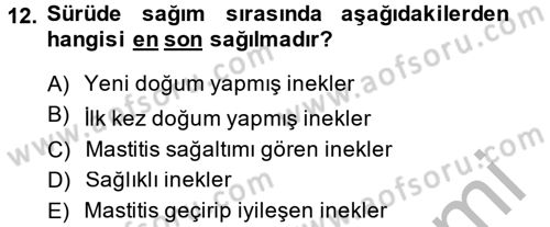 Doğum Bilgisi ve Suni Tohumlama Dersi 2014 - 2015 Yılı (Final) Dönem Sonu Sınav Soruları 12. Soru