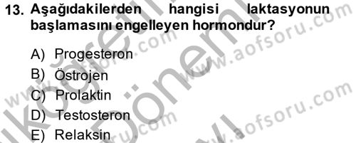 Doğum Bilgisi ve Suni Tohumlama Dersi 2014 - 2015 Yılı (Final) Dönem Sonu Sınav Soruları 13. Soru