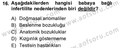 Doğum Bilgisi ve Suni Tohumlama Dersi 2014 - 2015 Yılı (Final) Dönem Sonu Sınav Soruları 16. Soru
