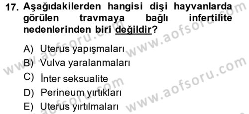 Doğum Bilgisi ve Suni Tohumlama Dersi 2014 - 2015 Yılı (Final) Dönem Sonu Sınav Soruları 17. Soru