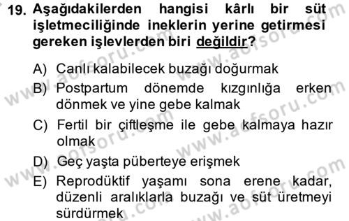 Doğum Bilgisi ve Suni Tohumlama Dersi 2014 - 2015 Yılı (Final) Dönem Sonu Sınav Soruları 19. Soru