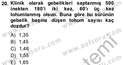 Doğum Bilgisi ve Suni Tohumlama Dersi 2014 - 2015 Yılı (Final) Dönem Sonu Sınav Soruları 20. Soru