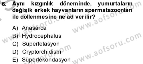 Doğum Bilgisi ve Suni Tohumlama Dersi 2014 - 2015 Yılı (Final) Dönem Sonu Sınav Soruları 6. Soru