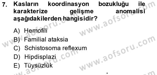 Doğum Bilgisi ve Suni Tohumlama Dersi 2014 - 2015 Yılı (Final) Dönem Sonu Sınav Soruları 7. Soru