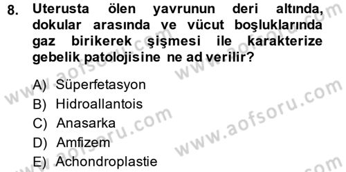 Doğum Bilgisi ve Suni Tohumlama Dersi 2014 - 2015 Yılı (Final) Dönem Sonu Sınav Soruları 8. Soru