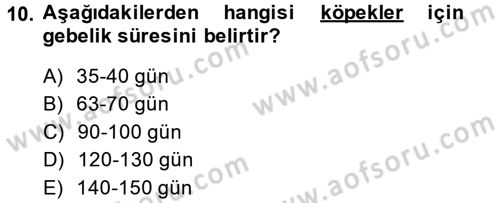 Doğum Bilgisi ve Suni Tohumlama Dersi 2014 - 2015 Yılı Tek Ders Sınavı 10. Soru