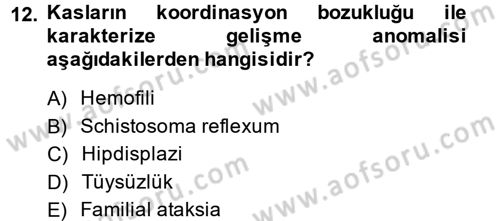 Doğum Bilgisi ve Suni Tohumlama Dersi 2014 - 2015 Yılı Tek Ders Sınavı 12. Soru