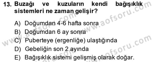 Doğum Bilgisi ve Suni Tohumlama Dersi 2014 - 2015 Yılı Tek Ders Sınavı 13. Soru