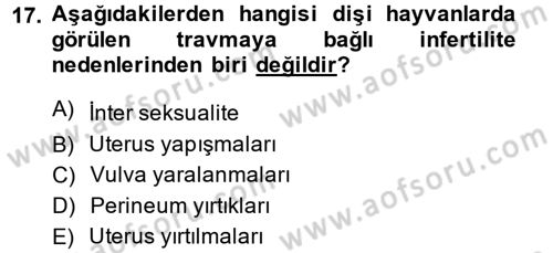 Doğum Bilgisi ve Suni Tohumlama Dersi 2014 - 2015 Yılı Tek Ders Sınavı 17. Soru