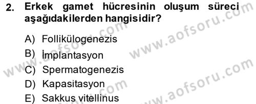 Doğum Bilgisi ve Suni Tohumlama Dersi 2014 - 2015 Yılı Tek Ders Sınavı 2. Soru