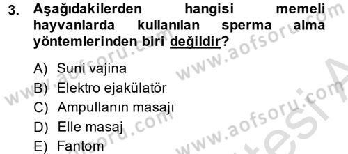 Doğum Bilgisi ve Suni Tohumlama Dersi 2014 - 2015 Yılı Tek Ders Sınavı 3. Soru