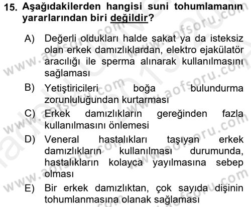 Doğum Bilgisi ve Suni Tohumlama Dersi 2015 - 2016 Yılı (Vize) Ara Sınav Soruları 15. Soru