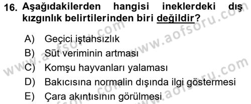 Doğum Bilgisi ve Suni Tohumlama Dersi 2015 - 2016 Yılı (Vize) Ara Sınav Soruları 16. Soru