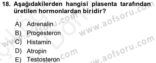 Doğum Bilgisi ve Suni Tohumlama Dersi 2015 - 2016 Yılı (Vize) Ara Sınav Soruları 18. Soru