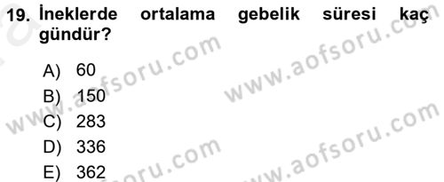 Doğum Bilgisi ve Suni Tohumlama Dersi 2015 - 2016 Yılı (Vize) Ara Sınav Soruları 19. Soru