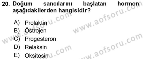 Doğum Bilgisi ve Suni Tohumlama Dersi 2015 - 2016 Yılı (Vize) Ara Sınav Soruları 20. Soru